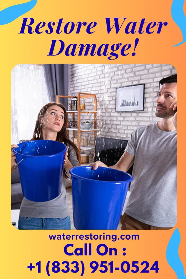 water restoration Modern Property Restoration Brothers Dewy Rose